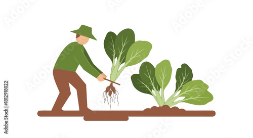 A Gardener's Harvest: Vegetable Farming, Freshly Grown Produce and Agricultural Landscape