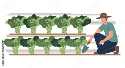 A Gardener Working On Vegetable Crops With The Tool And Green Landscape In A Farm