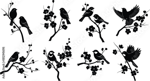 Black bird and spring blooming cherry blossom tree branch silhouettes, decorative vector illustration set for nature, wildlife, or seasonal graphic design content