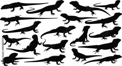 Collection of Black Iguana, Lizard, and Dragon Silhouettes, Set of Reptiles with Spikes and Scales in Different Poses, Wild Wildlife Vector Illustration
