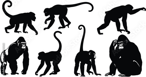 Diverse collection of gorilla and monkey silhouettes, featuring various primate species in dynamic poses, representing jungle wildlife, nature, and conservation design projects, isolated on white.