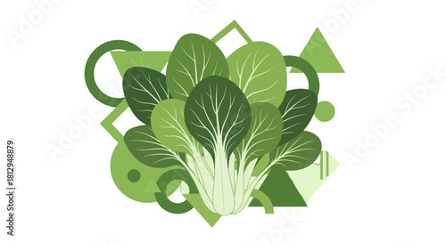 Abstract Bok Choy with Geometric Shapes on Black Background Freshly Illustrated
