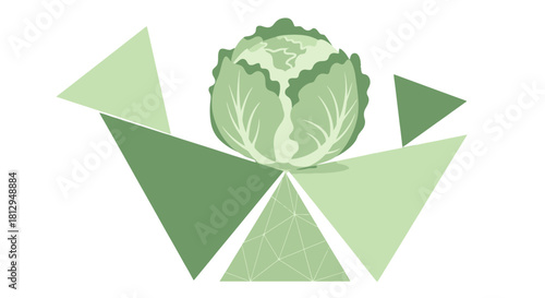 Abstract Cabbage Composition Above Green Angular Forms on Black Background