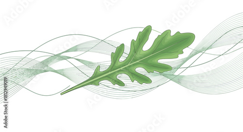 Abstract Composition Featuring Textured Leaf With Wavy Lines Against A Dark Background