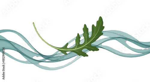 Abstract Composition of a Leaf and Swirling Watery Elements Against a Black Backdrop