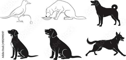 Diverse collection of dog and bird vector illustrations, featuring black silhouettes and white outline drawings of sitting, running, and eating poses for pet, animal, and nature concepts.