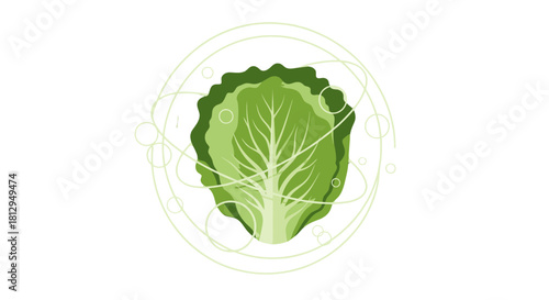 Abstract Illustration of Cabbage Enclosed Within Futuristic White Geometric Lines