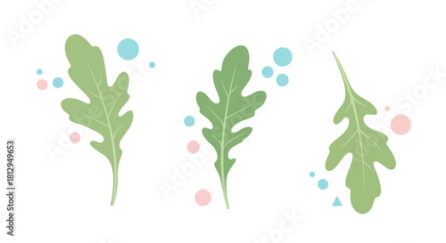 Abstract Leaves With Pastel Orbs Composition On Dark And Neutral Background