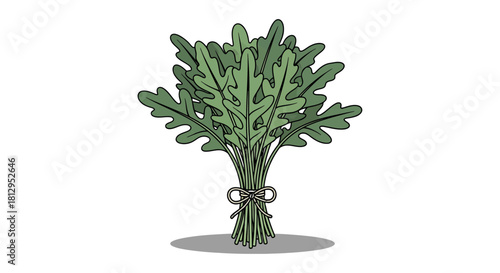 Arugula Bouquet Vector Illustration On Black Background And Presented Minimalist Style