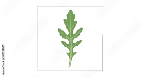 Arugula Leaf Isolated On Black Backdrop Within Square For Organic Vegetable Design