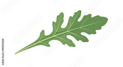 Arugula Leaf Isolated On Black Background, Botanical Element, Fresh Healthy Green