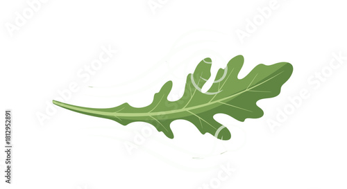 Arugula Leaf With Abstract Swirls Design, Isolated On Black Background