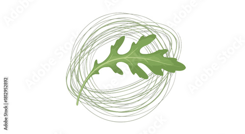 Arugula Leaf Spiraling Design Over Black Background Illustrating Healthy Food Concept
