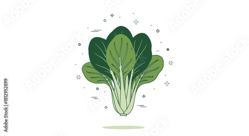 Aesthetic Illustration of Fresh Organic Pak Choi Cabbage on a Dark Background