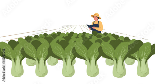 Agricultural Scene: Farmer Inspecting Crops in a Vibrant Bok Choy Field Under the Sky