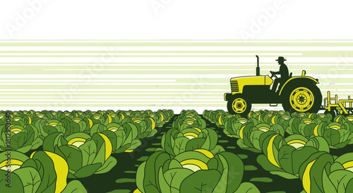 Agricultural Tractor Cultivating Farm Field with Rows of Cabbage Plants Under Sky