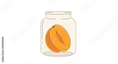 Cartoon Illustration Of Apricots Preserved Within A Clear Glass Jar Isolated