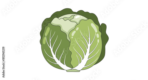 Cartoon Cabbage Illustrated Against Black Background, Isolated And Ready For Use