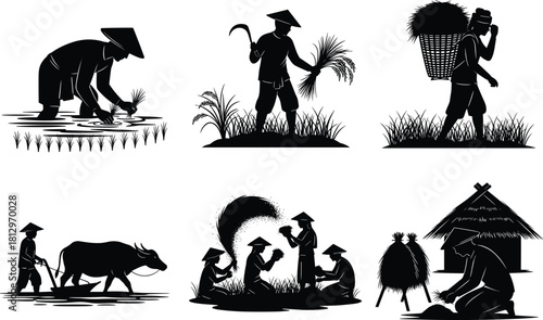 Traditional Rice Farming in Rural Asia – Silhouette Vector of Planting, Harvesting, Plowing, Winnowing, and Village Life Scenes