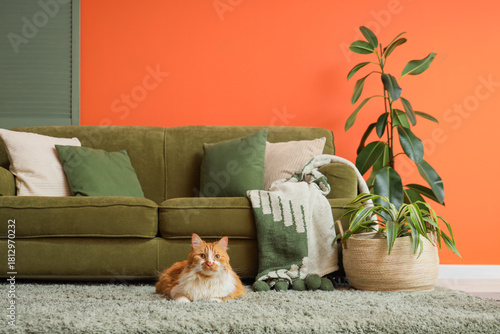 Cute fluffy cat lying on gr...