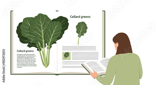 Collard Greens Illustrated In A Book, Education And Learning About Leafy Vegetables