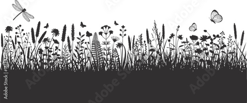 Wildflower Meadow Grass Insect Silhouette Border Vector .