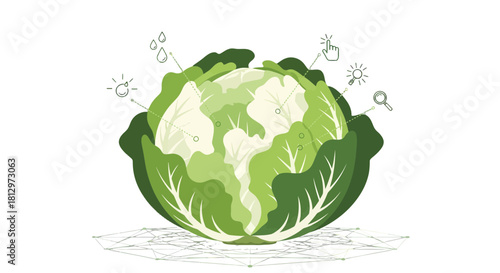 Conceptual Cabbage: Embracing a Fusion of Nature, Information, and Global Awareness