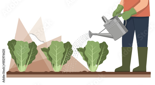 Cultivating Fresh Greens: A Person Nurturing Leafy Plants With A Watering Can