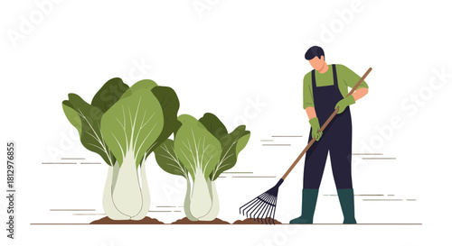 Cultivating Fresh Vegetables With a Rake in a Tranquil and Illustrative Garden Scene