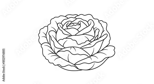Elegant Black And White Rose Design: A Striking Floral Illustration for Any Project