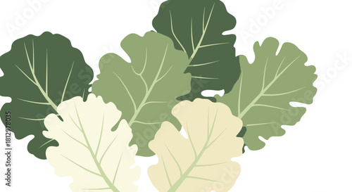 Decorative Kale Leaves against Black Background Creating a Fresh And Simple Design