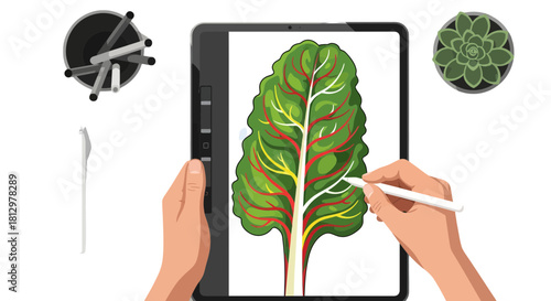 Digital Illustration Of A Chard Leaf On A Tablet, Creative Process And Design