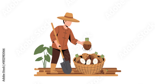 Farmer Harvesting Taro Roots from the Earth, Gathering Crops Into a Basket