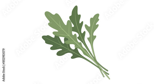 Fresh Arugula Leaves Emblem on a Dark Field for Health and Culinary Concepts