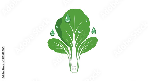Fresh Bok Choy And Water Droplets Isolated Against A Deep Black Background