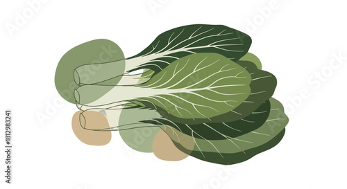 Fresh Bok Choy Arrangement Depicted With Clean Lines And Minimalist Shades