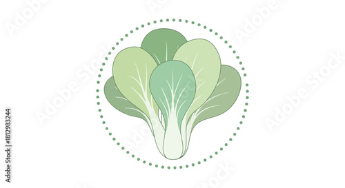 Fresh Bok Choy Arrangement in a Green and White Color Palette on a Black Background