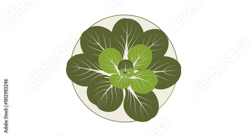 Fresh Bok Choy Arrangement on Circular Dish Over a Striking Black Backdrop Design