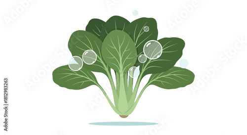 Fresh Bok Choy Depiction With Clear Water Bubbles Against a Black Background