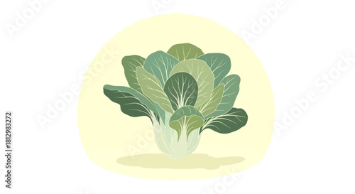 Fresh Bok Choy Depiction Isolated Illustration Against a Simple Neutral Backdrop