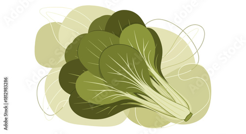 Fresh Bok Choy Displayed With Abstract Background With Green and White Colors