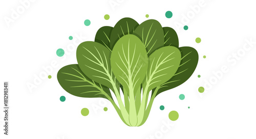 Fresh Bok Choy Isolated On Black Background With Green and Blue Graphic Elements