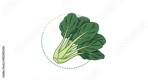 Fresh Bok Choy Illustration Against a Dark Background: Artistic Vegetable Artwork