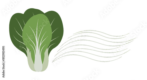 Fresh Bok Choy Illustration With Wavy Lines Against a Black Background