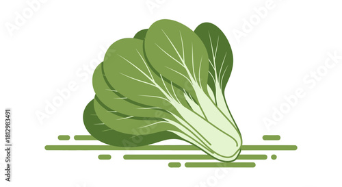 Fresh Bok Choy Illustration on Black: A Vibrant and Contemporary Food Design