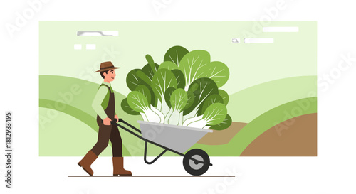 Farmer Pushing Wheelbarrow Full Of Fresh Bok Choy, Agriculture Illustration, A New Harvest