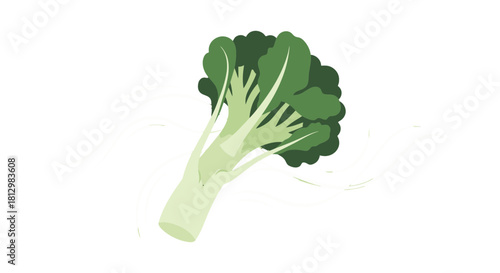 Fresh Broccoli On Black Background With Artistic White Flowing Lines Design