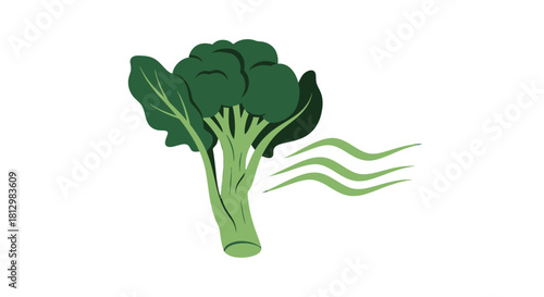 Fresh Broccoli Vector On Black Background With Aroma Symbol