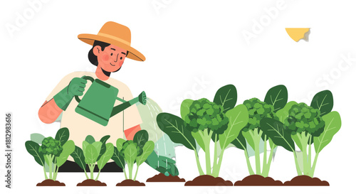 Farmer Watering Crops in a Field Cultivating Organic Broccoli Garden Fresh Vegetables