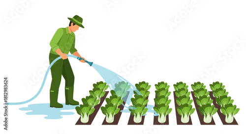 Farmer Watering Harvested Crops with Gentle Sprays of Water for Growth and Abundance